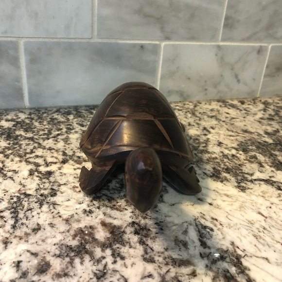 Ironwood sea turtle - Picture 3 of 7